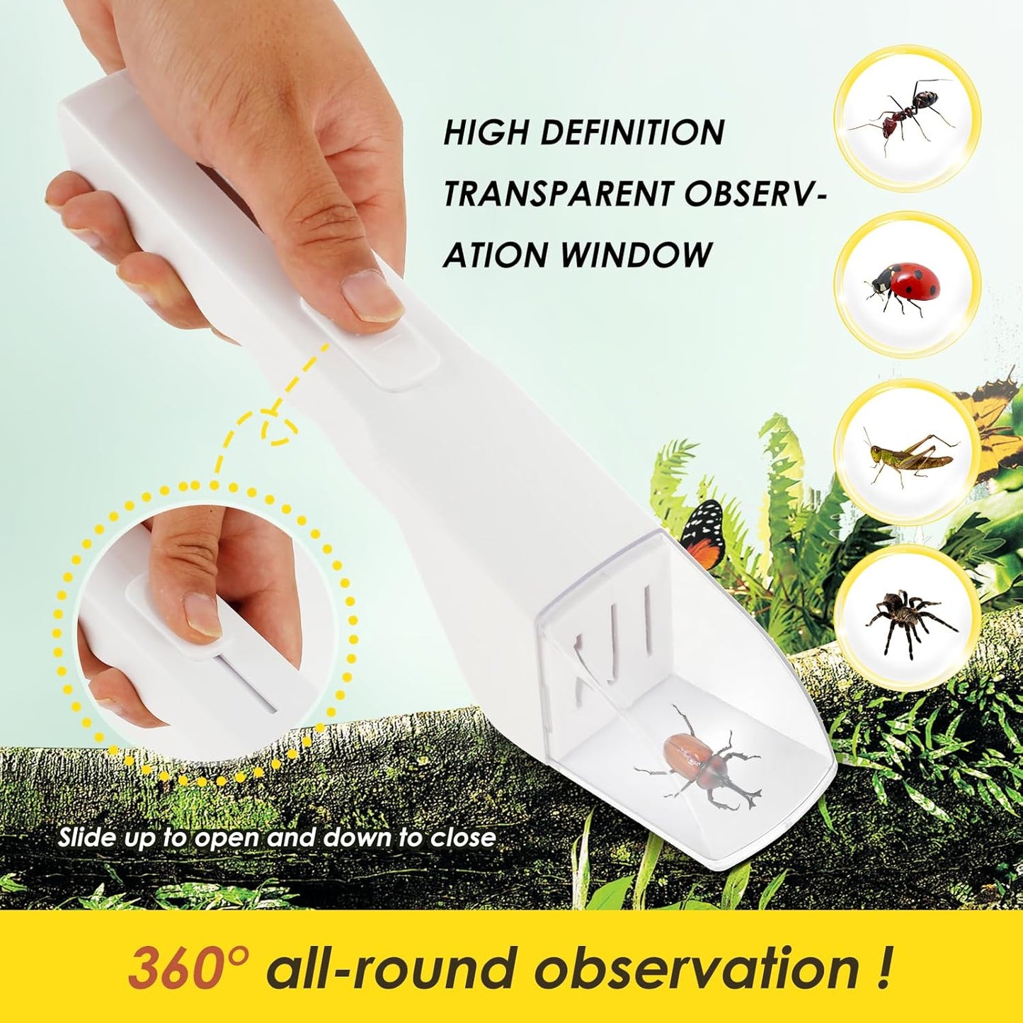🐛 Hot Seller! Safe & Fun Insect Catcher for Kids & Adults